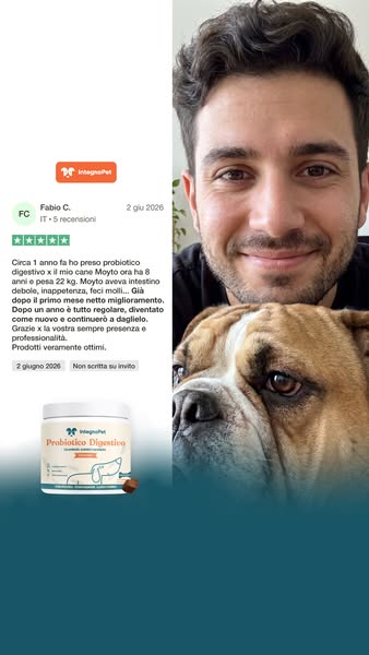Aiuta il tuo gatto oggi