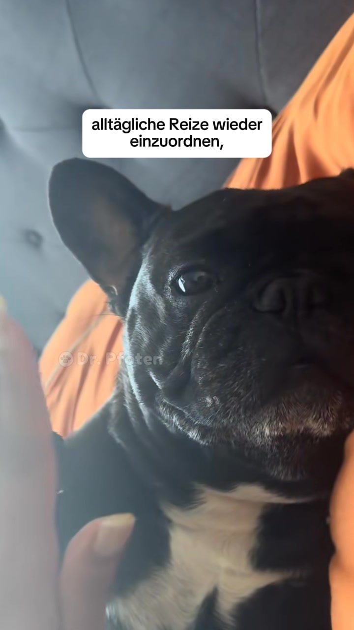 Von Tierärzten empfohlen