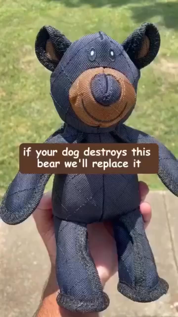 Chew-Proof Toys for Dogs