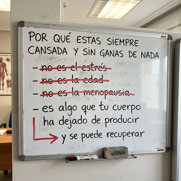 Acaba con el cansancio y recupera la energía que tenias hace 15 años