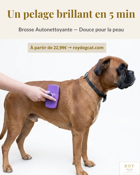 Brosse Autonettoyante — Douce pour la Peau