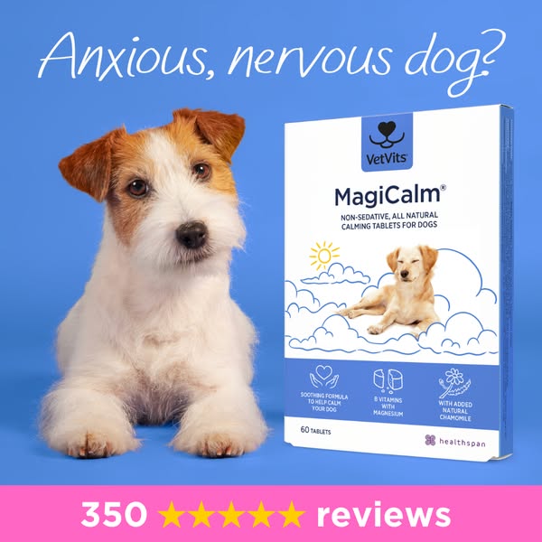 MagiCalm For Dogs