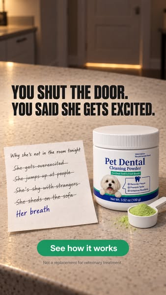 Let Her Back In The Room