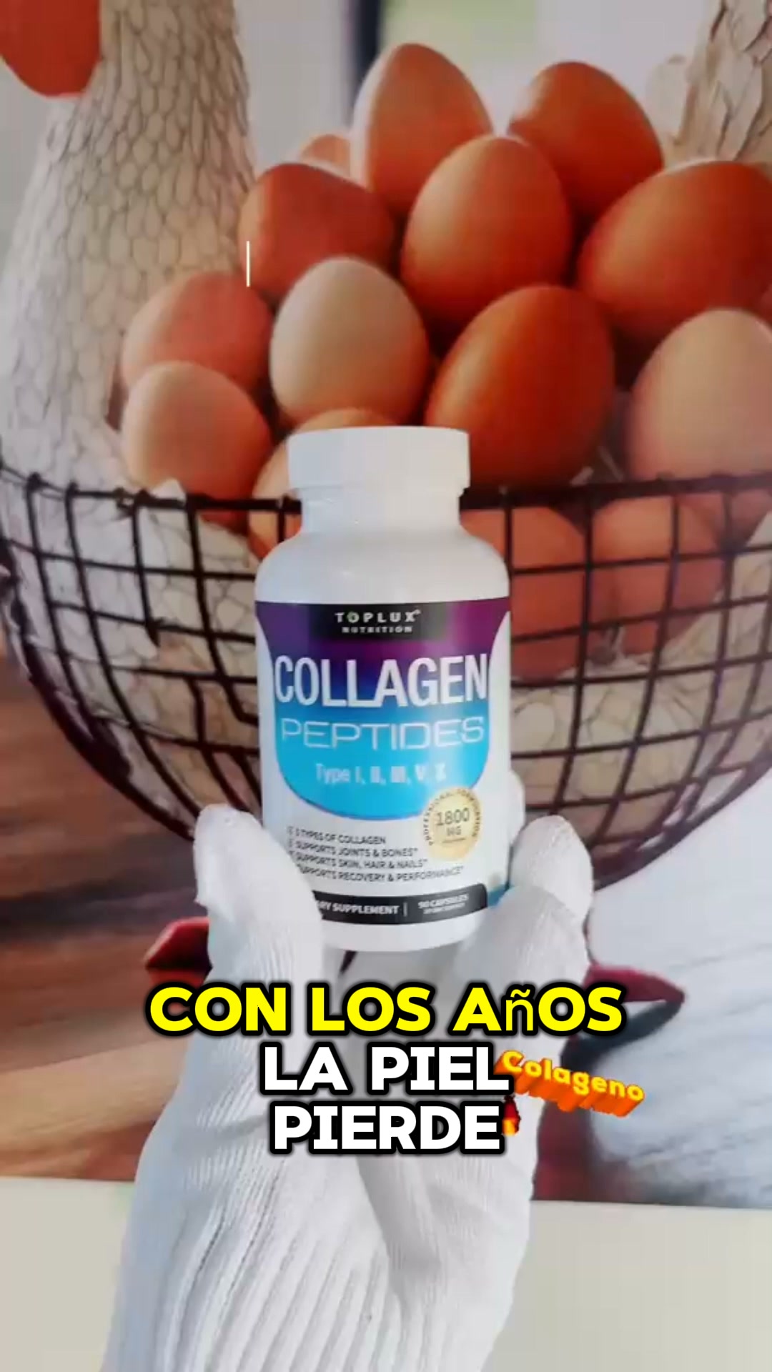 COLÁGENO PÉPTIDOS - 50% DTO.