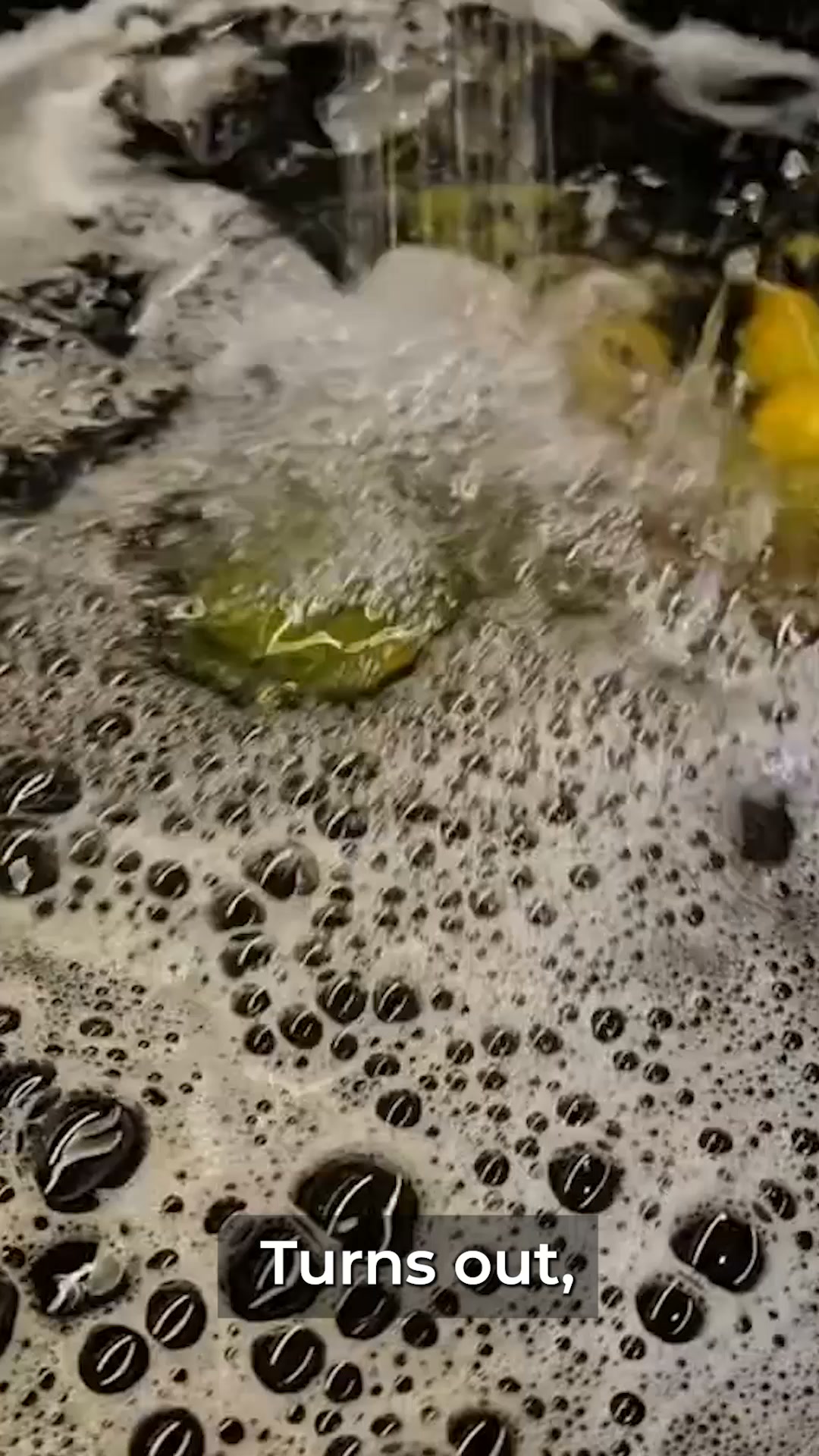 Your Rinsed Produce is NOT Clean