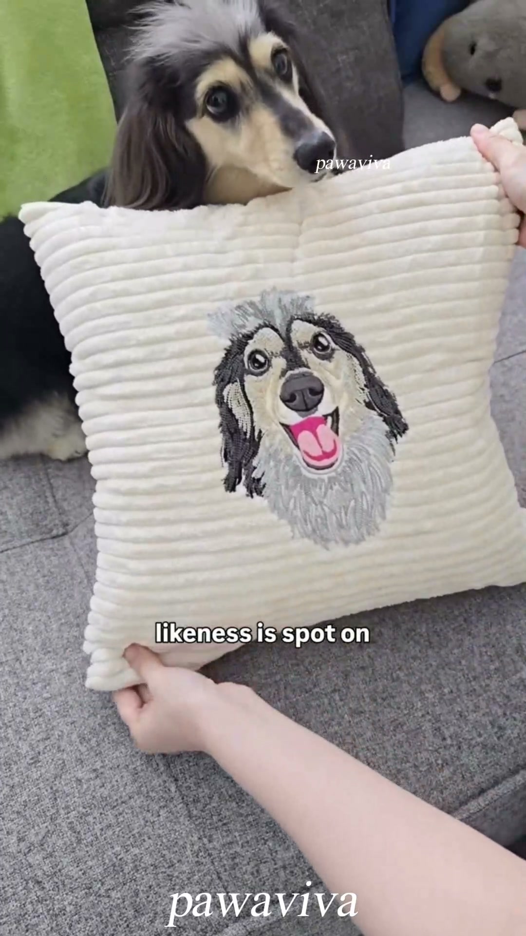 Cuddle Up with Your Pet