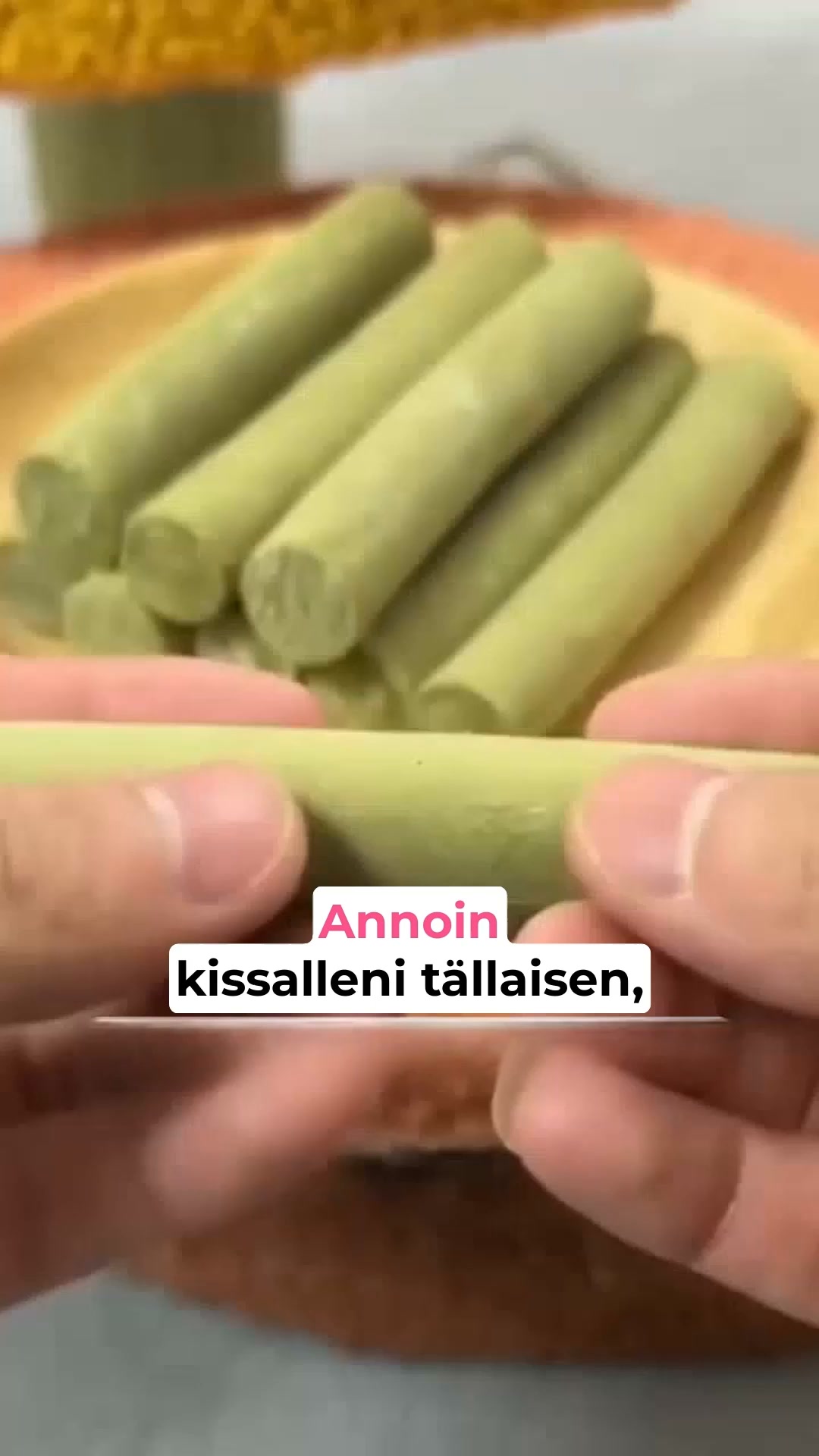 Onnellisempi kissa odottaa