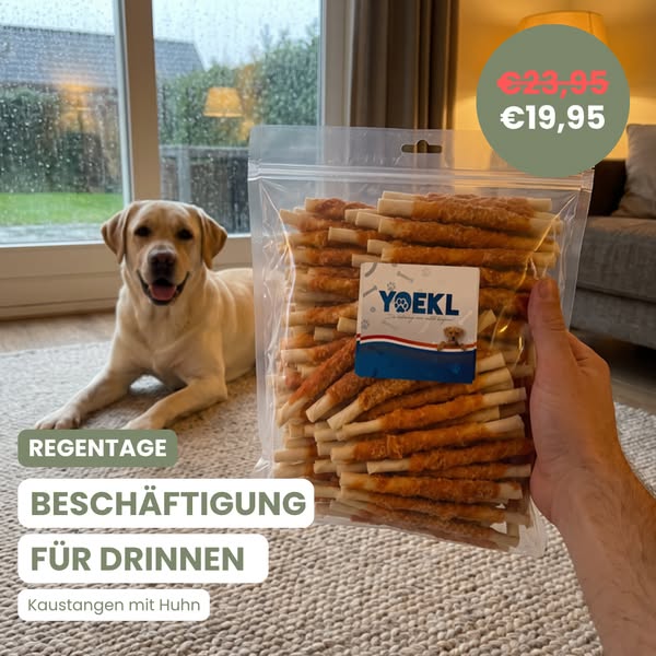 Beschäftigung für Regentage