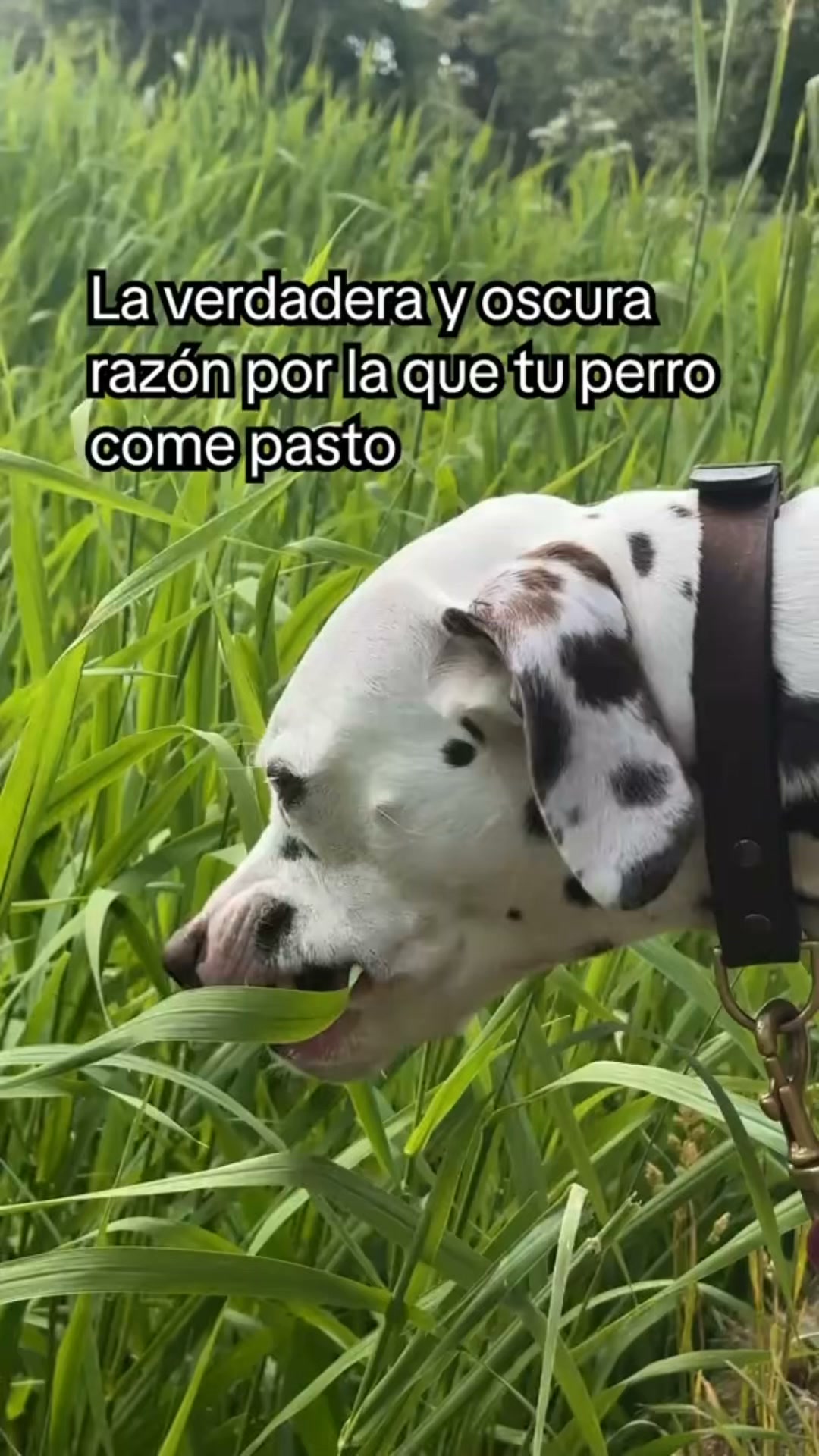 +100.000 clientes