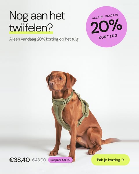 ALLEEN VANDAAG 20% KORTING
