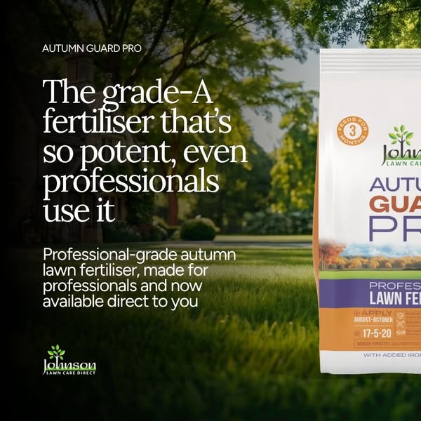 Revive your lawn with a single autumn feed