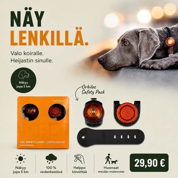Näy pimeässä