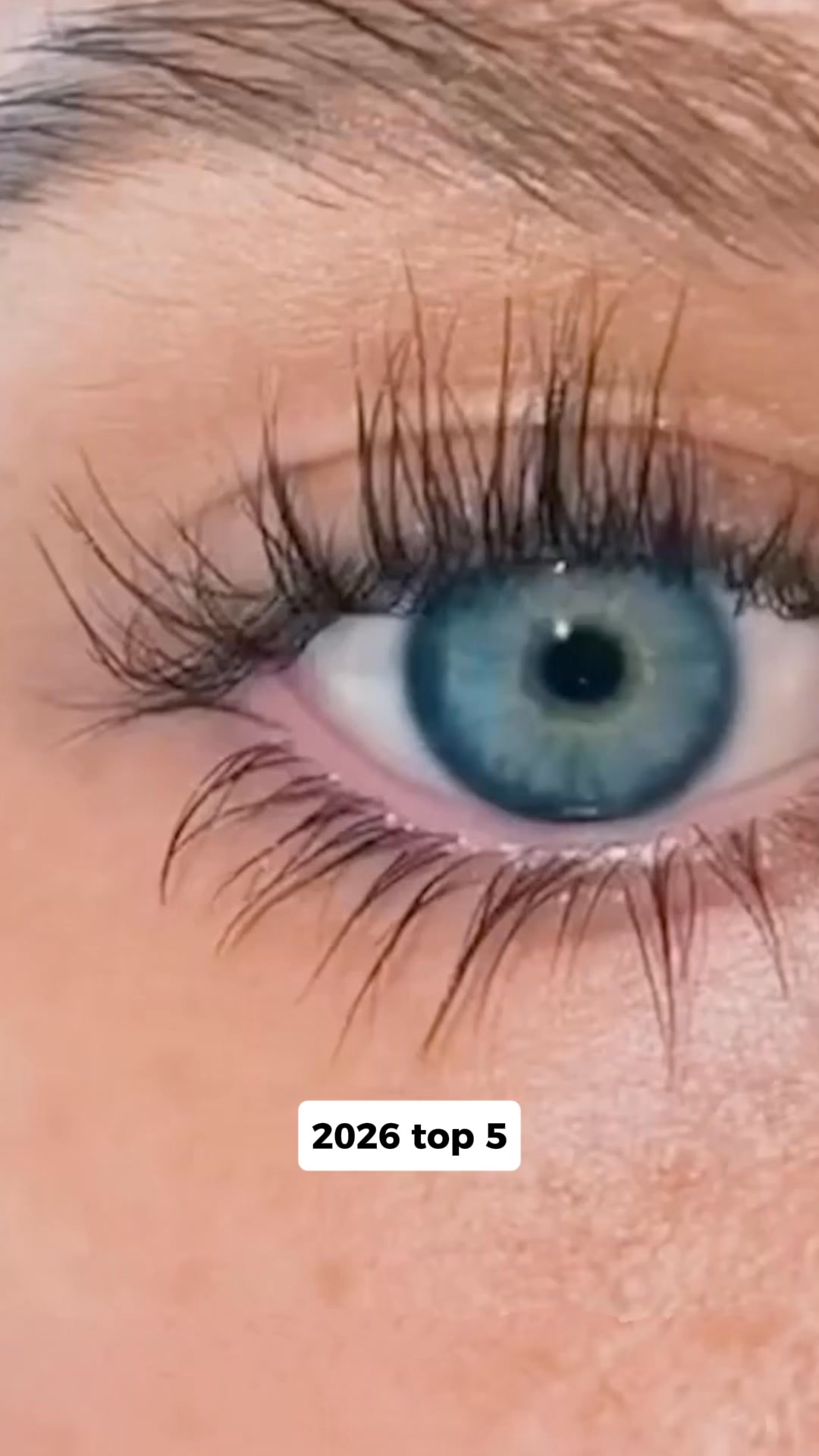 Top 5 Eye Lash Serum of 2026