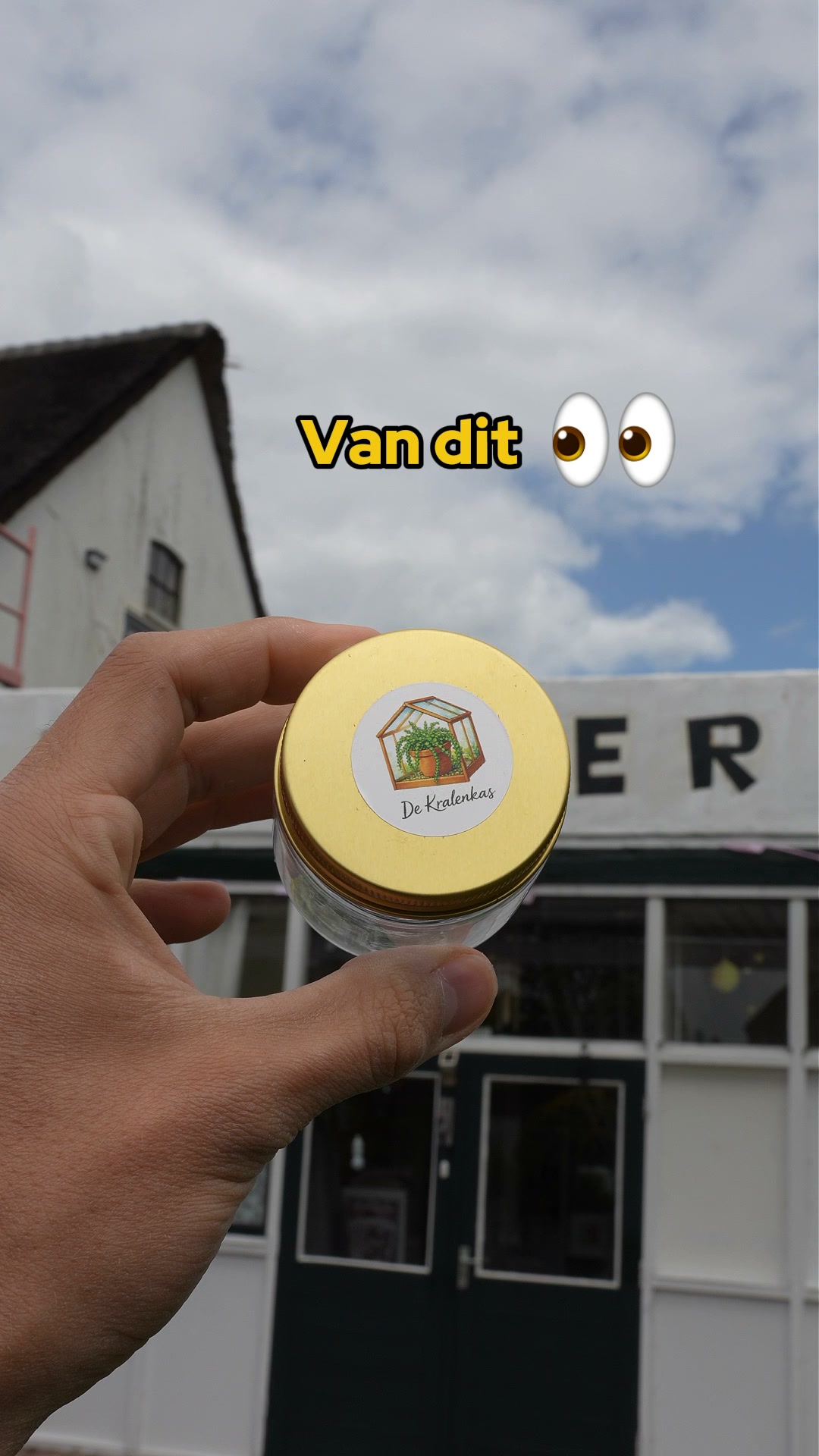 Maak je eigen kralenplant