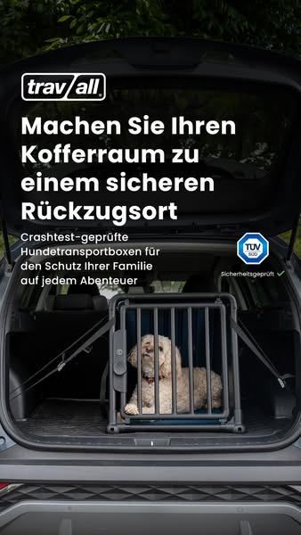 Schutz, den dein Hund verdient