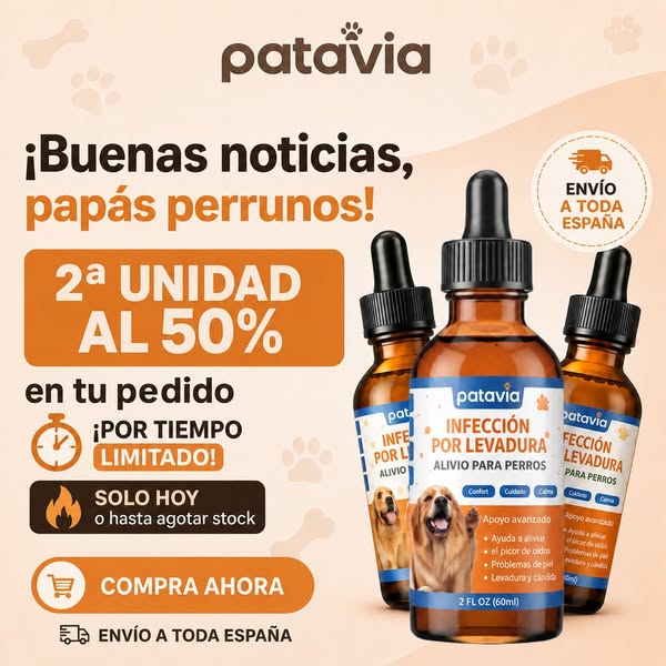 Envío gratis a toda España