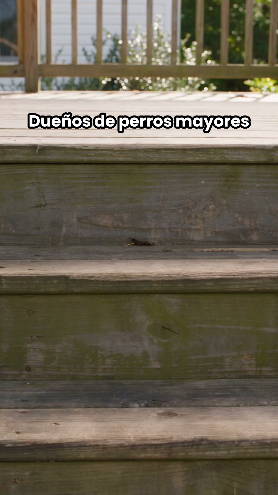 ENVÍOS GRATIS + PAGAS AL RECIBIR