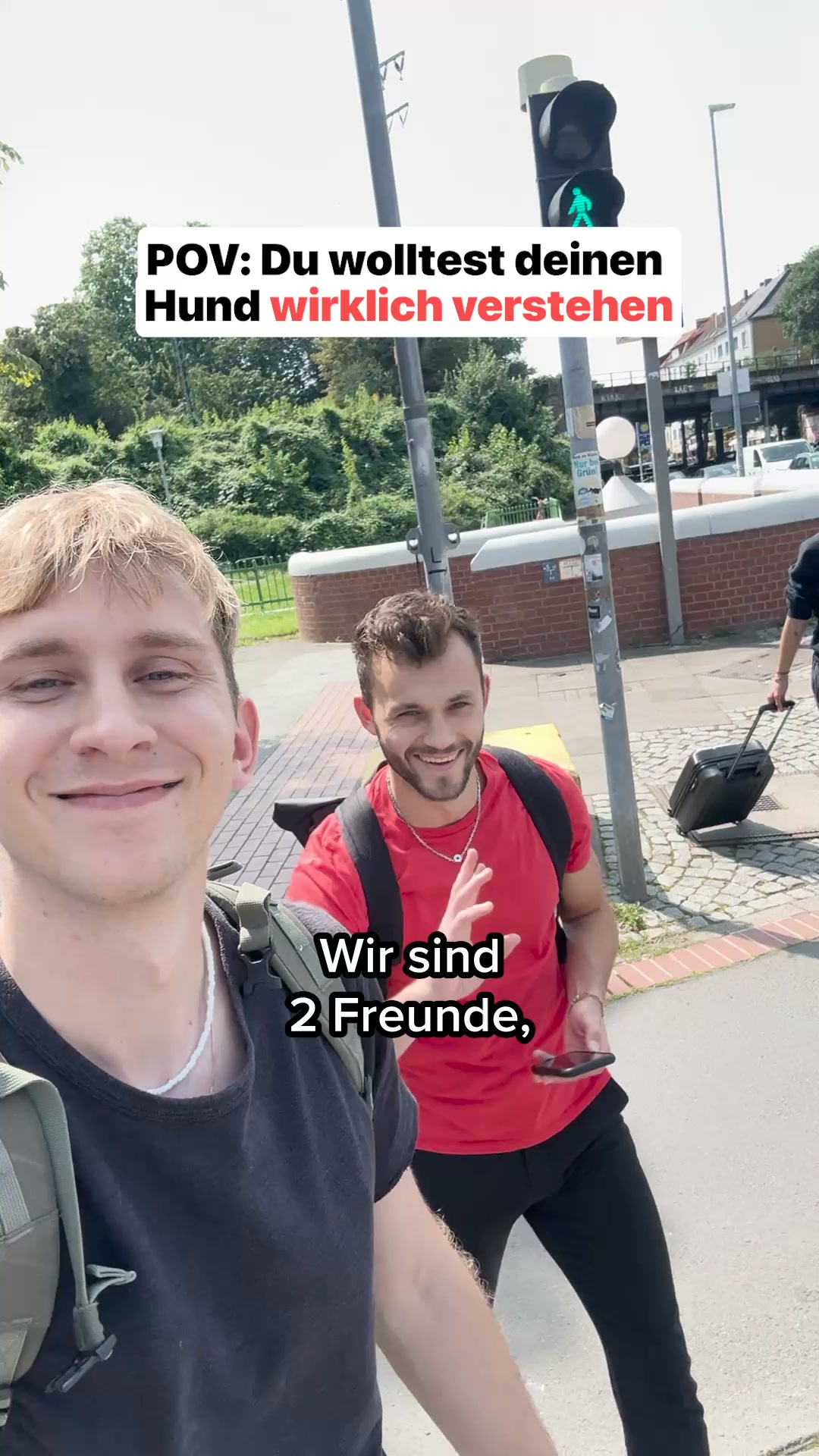 Mit Tierärzten sorgfältig entwickelt!