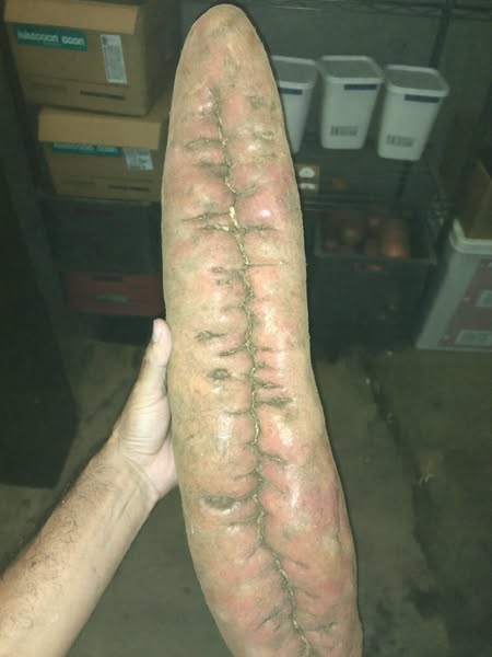 Everyone with Poor Circulation needs to see this