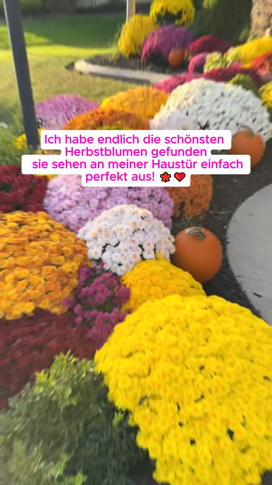 Ich hätte nie gedacht, dass Kunstblumen so schön aussehen können!