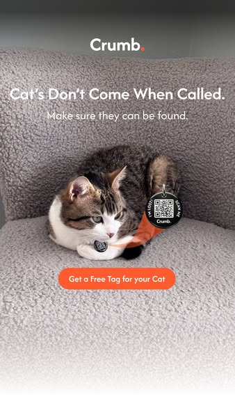 Get A Free Tag