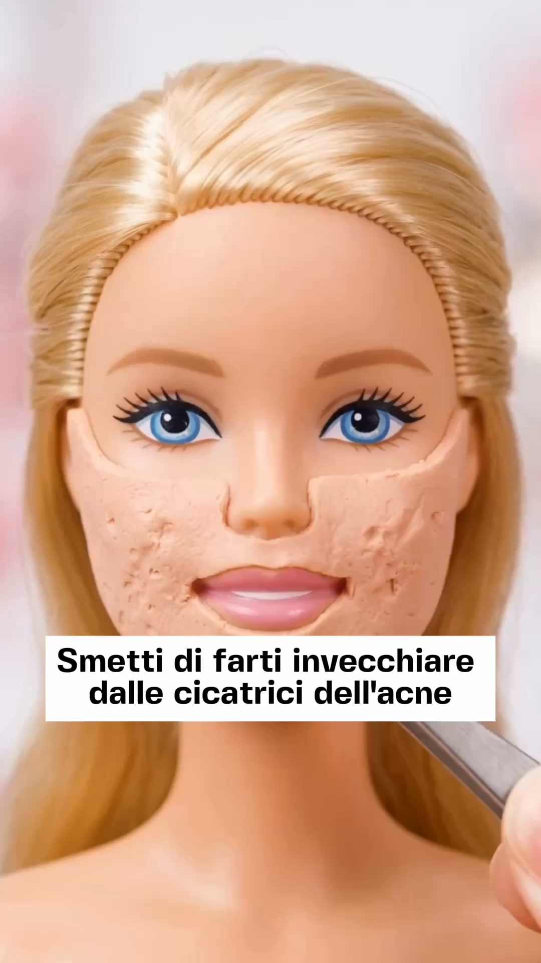 Valutato 5 stelle