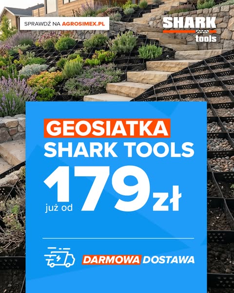 Geosiatka komórkowa