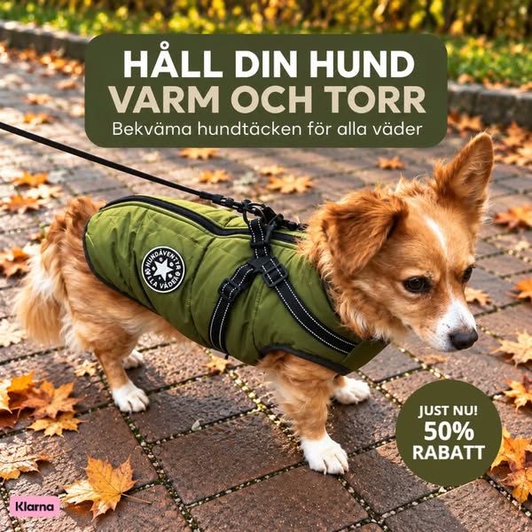 Jacka + sele i ett – nu halva priset!