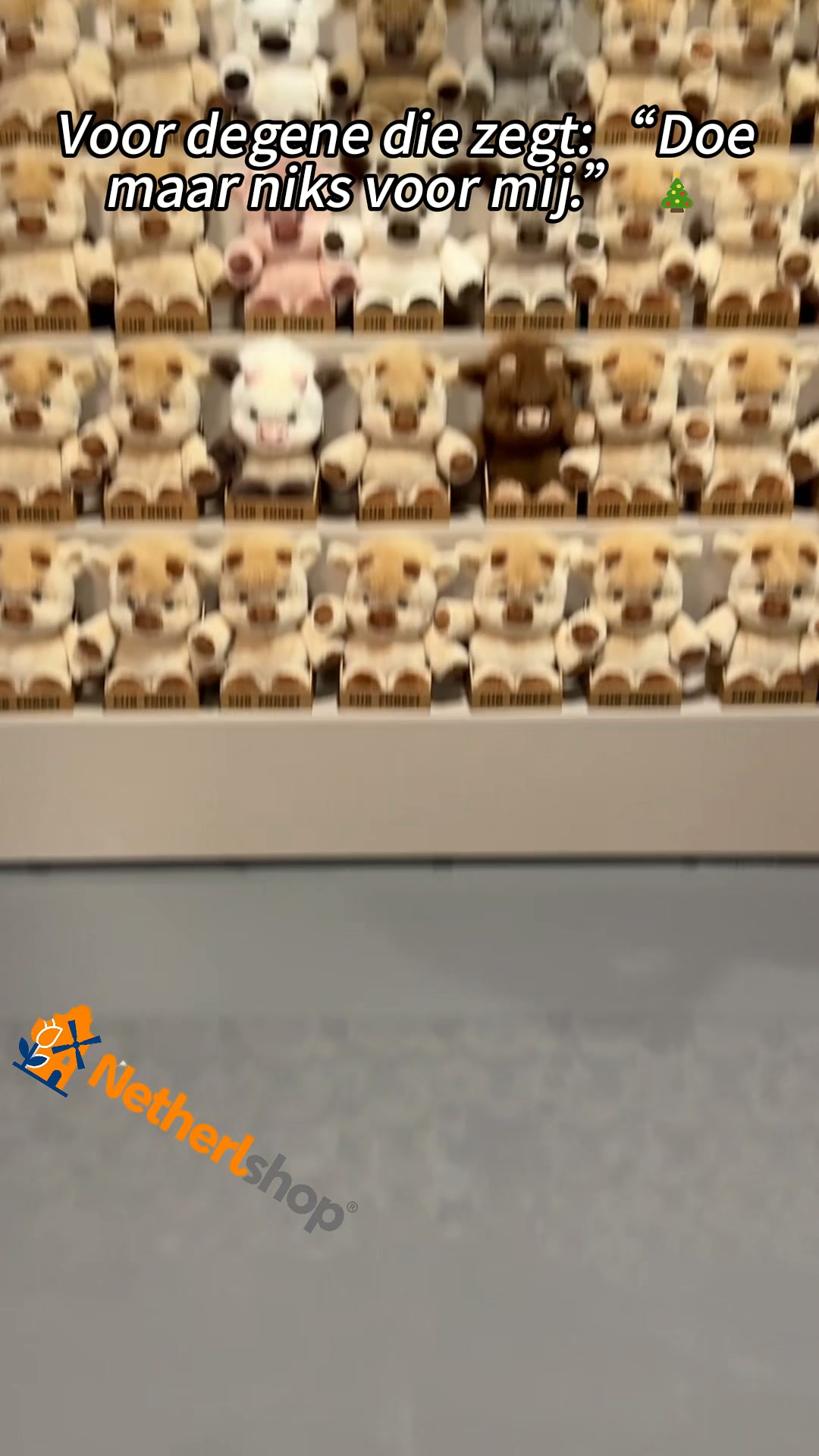 Netherlshop