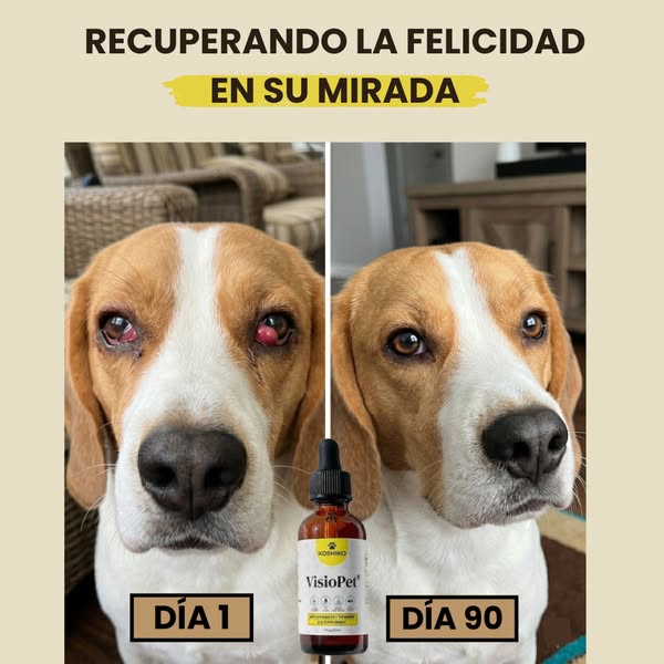 Cuida su vista