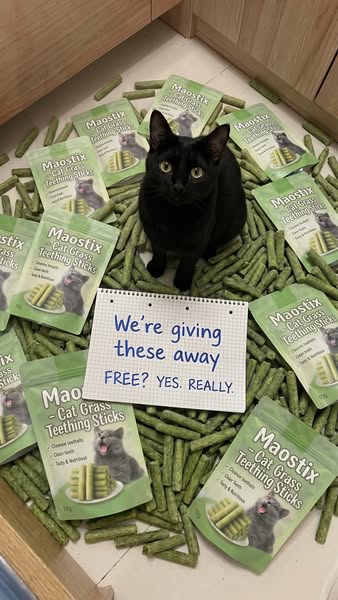 Free Today!