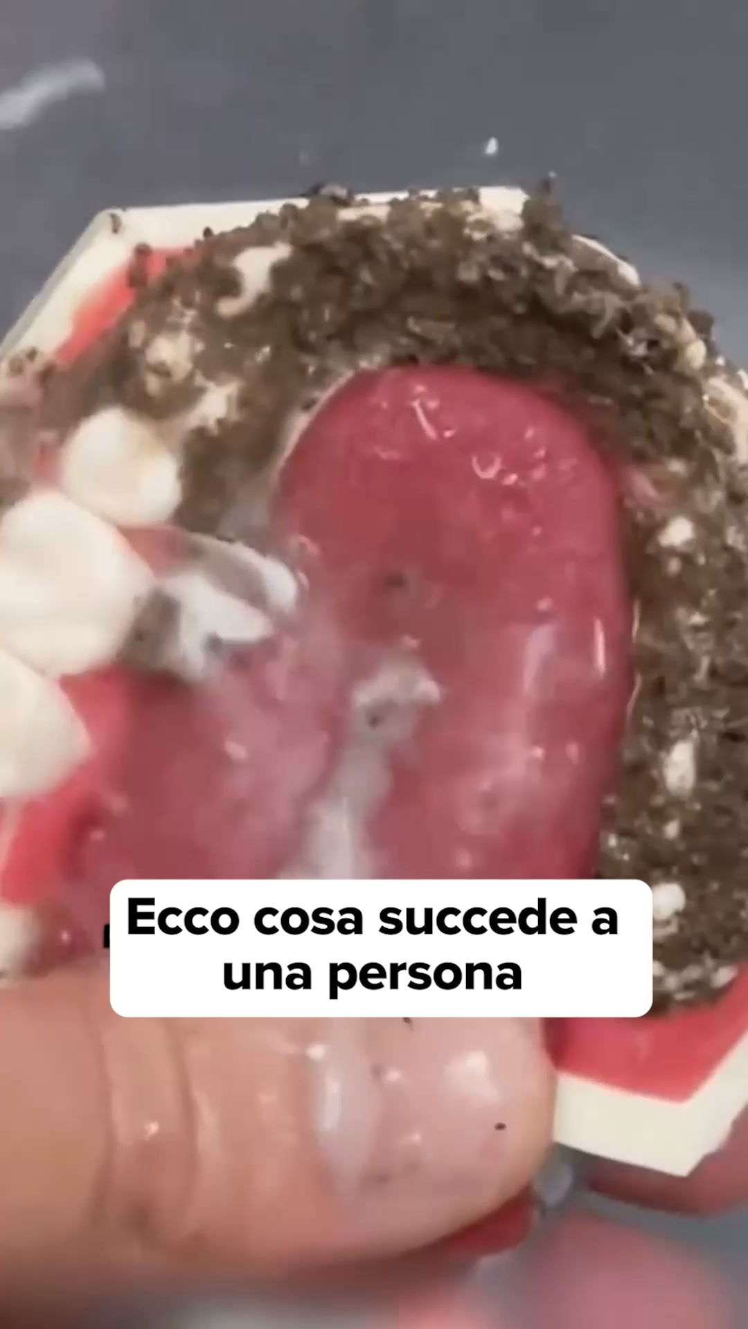 Pulisce, Lava e Spazzola allo stesso tempo