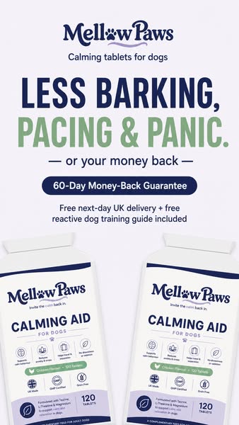 40% Off and Free Next Day Delivery