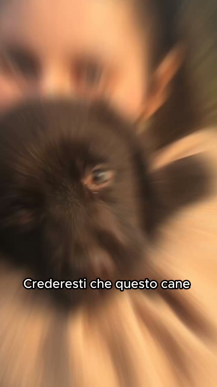 "Con questo è tornato a correre come prima"
