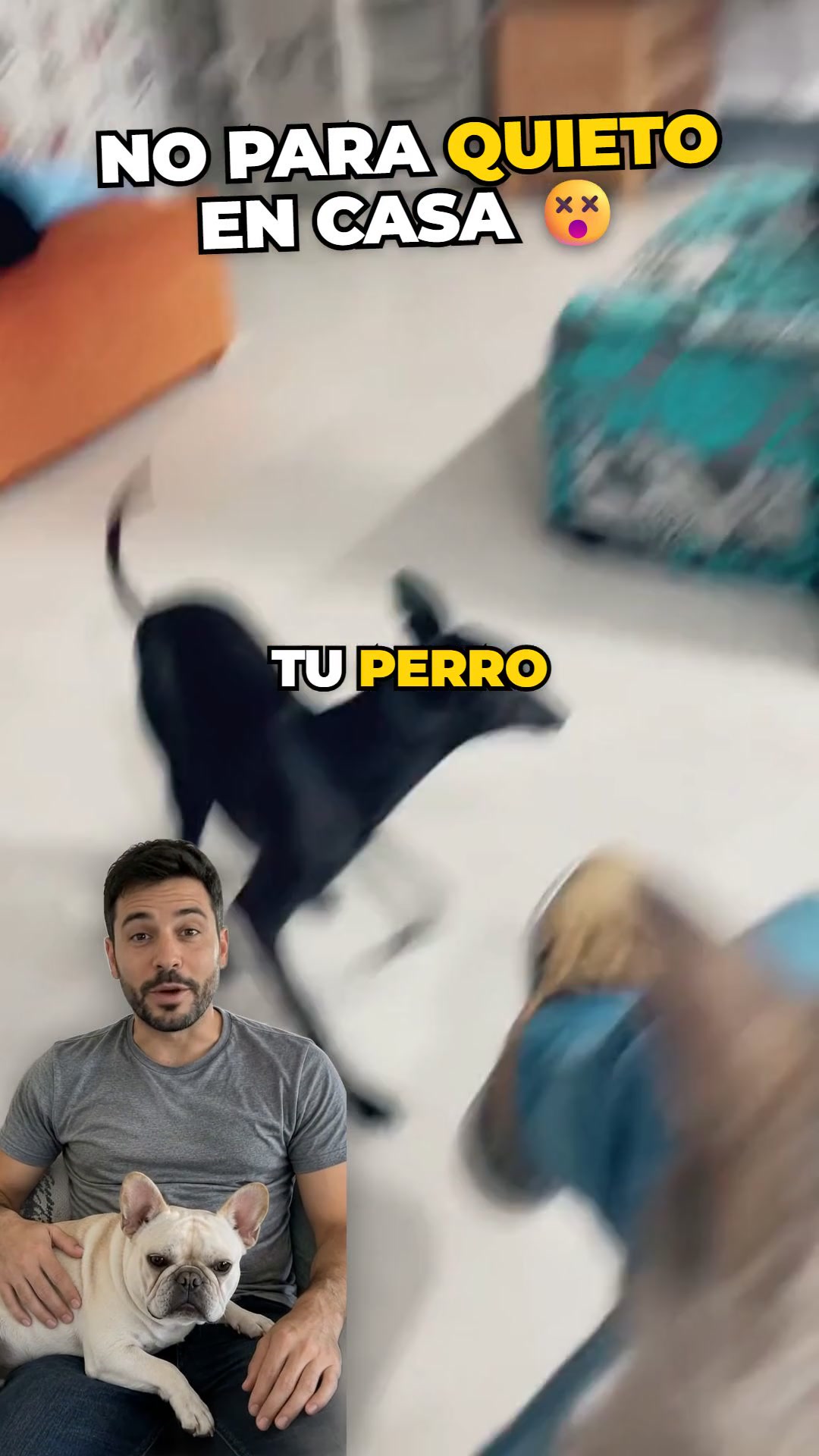 2x1 + envío gratis a toda España