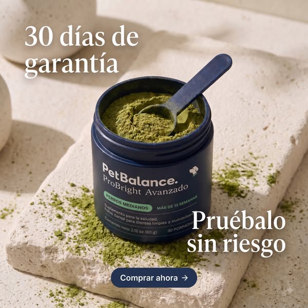 ENVÍOS GRATIS + PAGAS AL RECIBIR