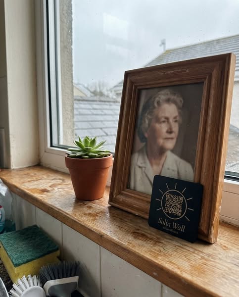 I keep my whole mother on a black tile beside the kitchen sink.