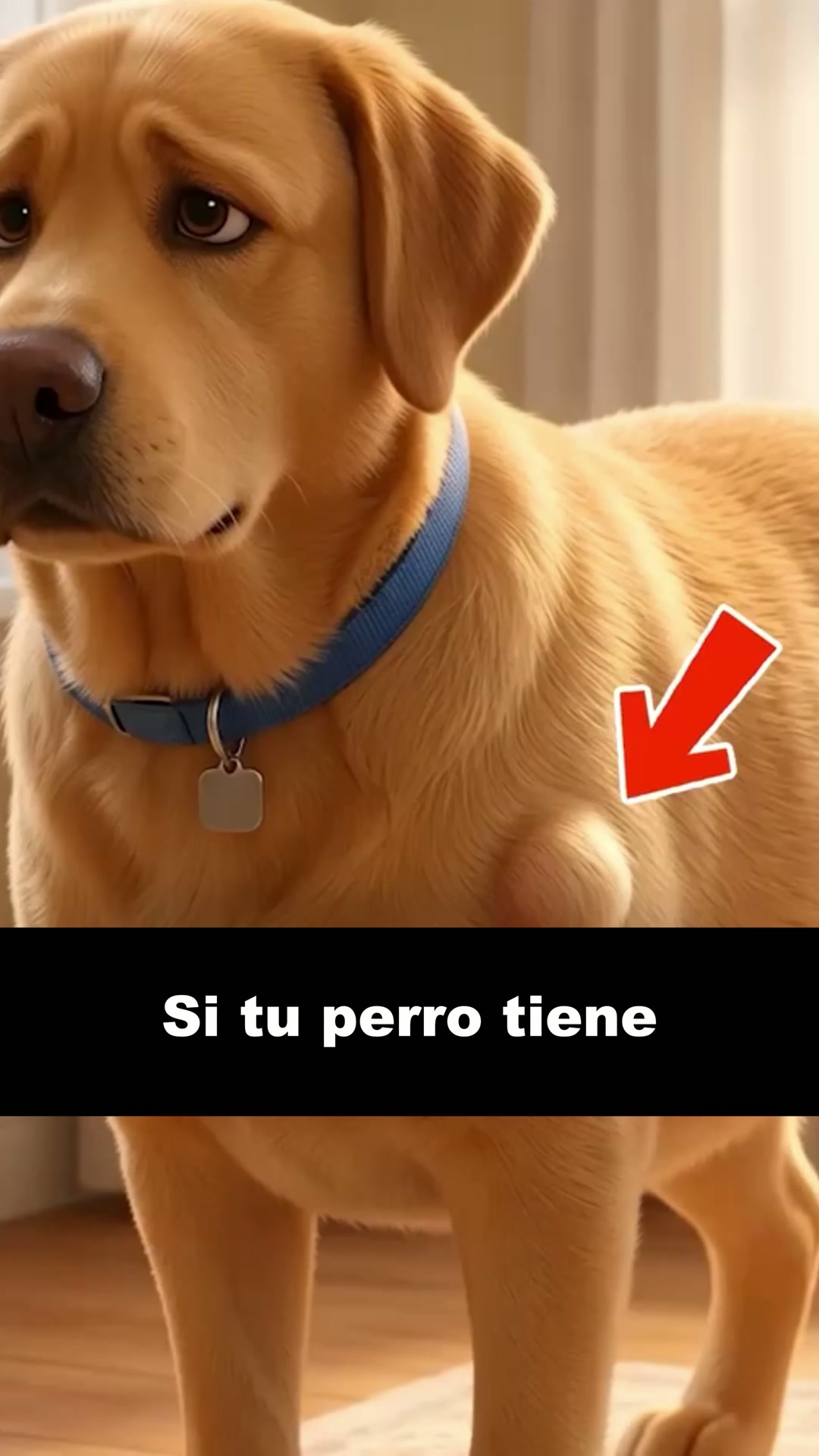 Envío GRATIS en 24/48h
