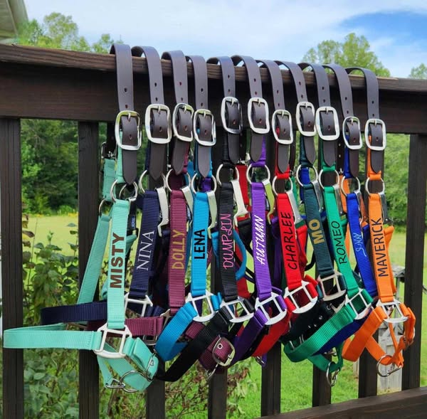 Personalized Breakaway Horse Halter, Cob Halter, Horse Name on Halter, Adjustable Horse Halter, Custom Halter, Horse gift, Horse Awards