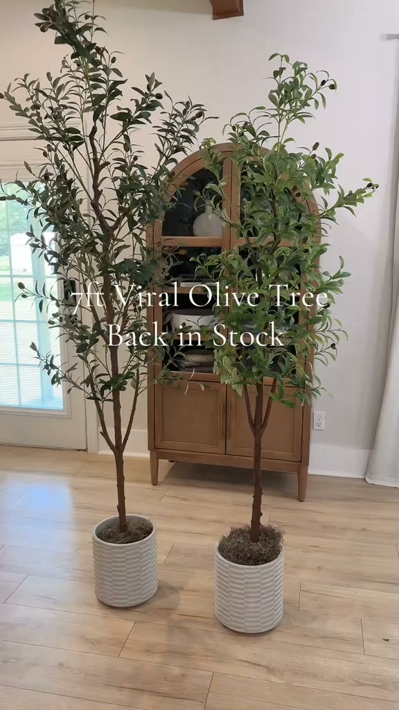 Get 50% Off + Free Shipping