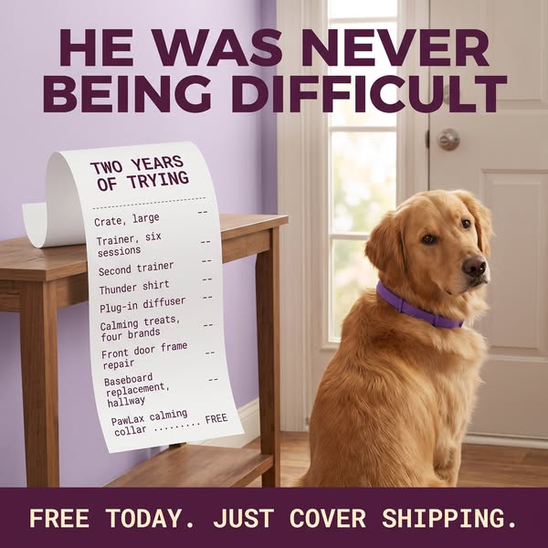 Free Today (Shipping Fee Applies)
