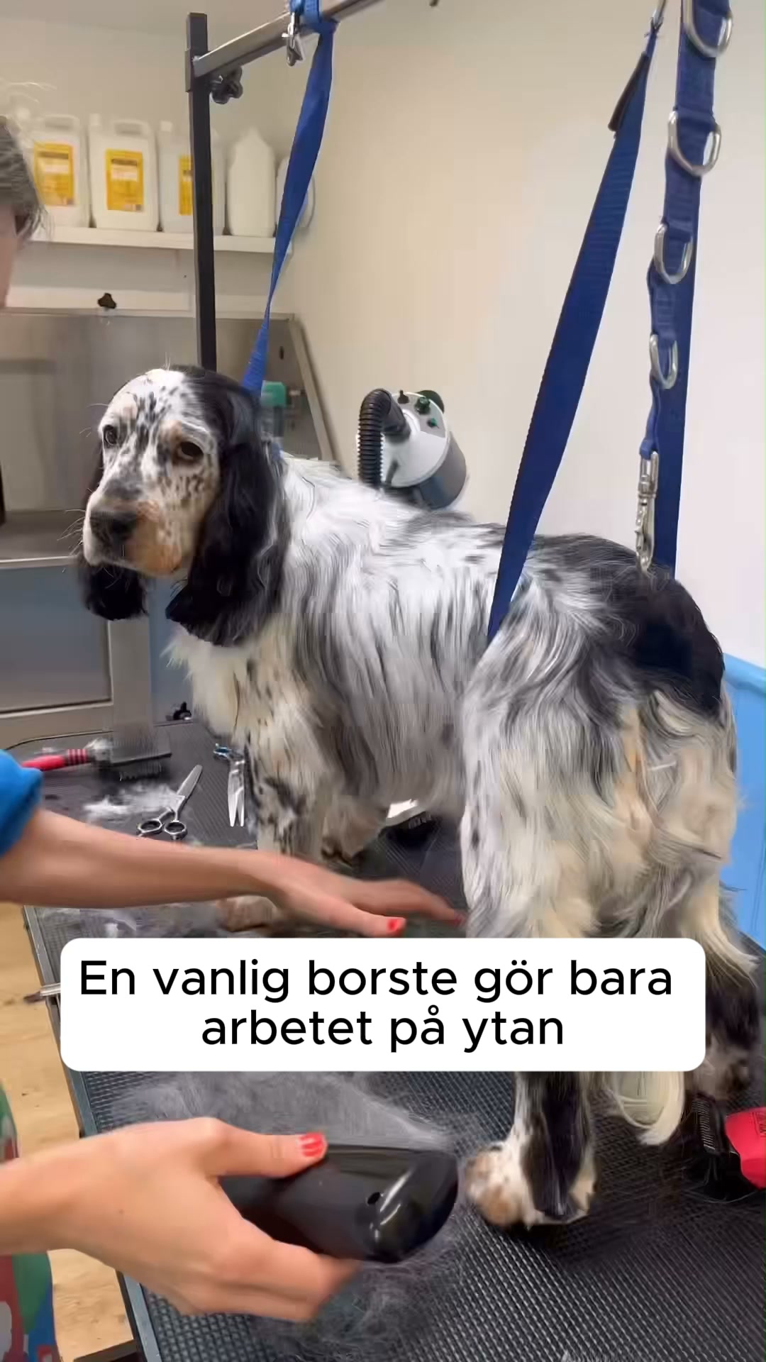 50% REA + FRI FRAKT