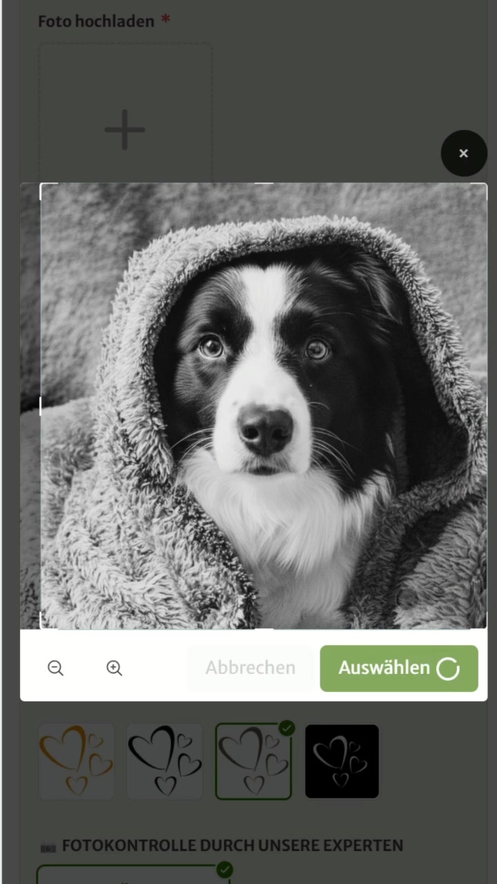 Personalisiertes Kissen