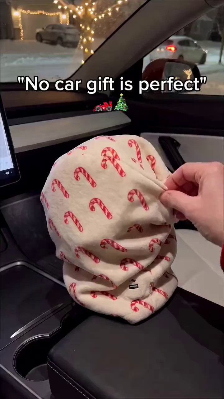 Turn Your Car Into a Holiday Wonderland!