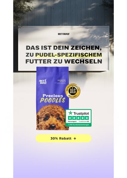 Speziell für Pudel & Doodles