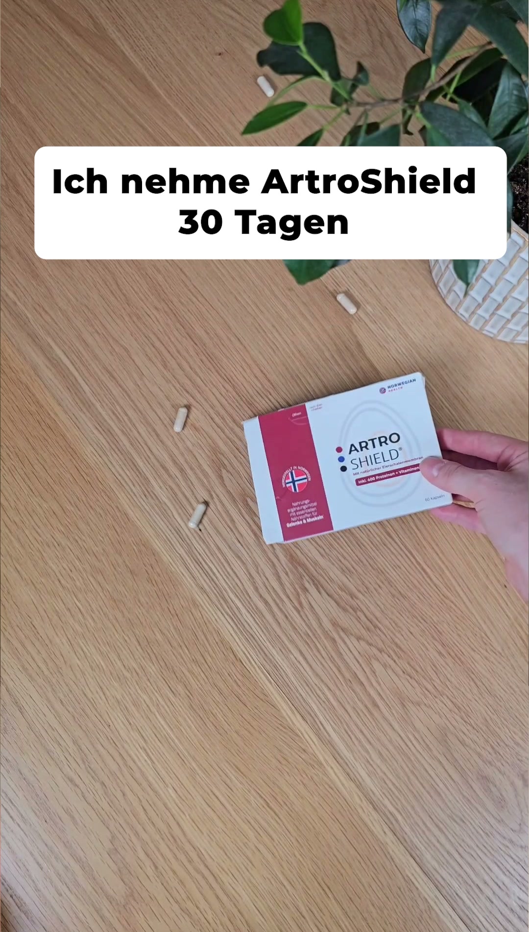 50 % Rabatt + kostenloser Versand