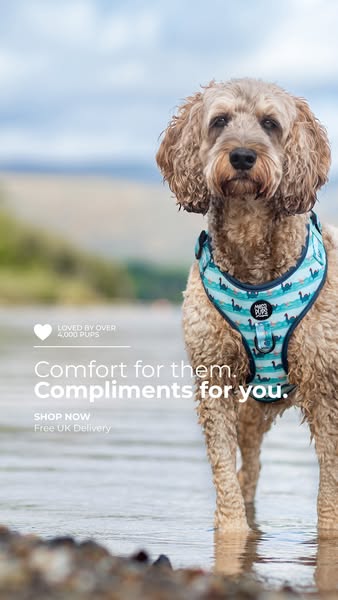 Comfort for Them. Compliments for You.