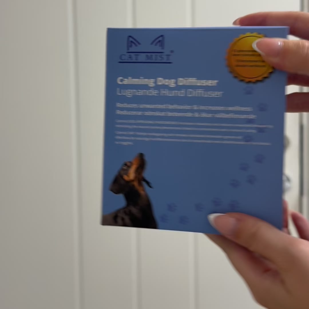 För en lugnare hund