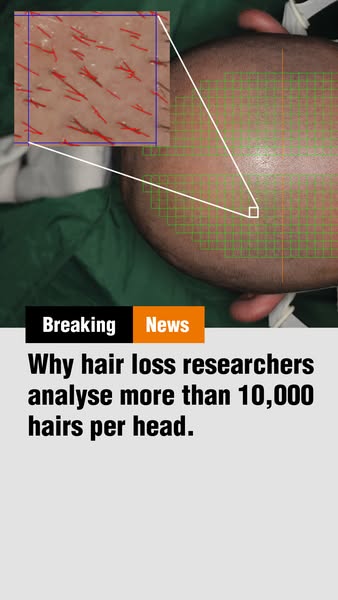 New findings are drawing attention to active ingredient DMG