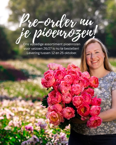 Pioenrozen wortelknollen van de kwekerij | Clay & Roots